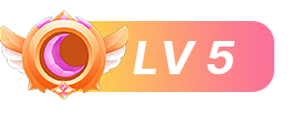 等级：5 级